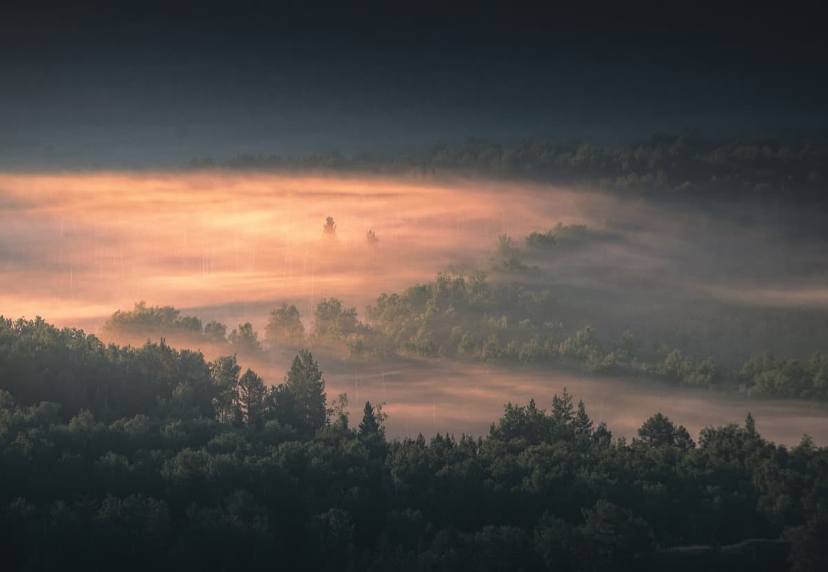 Phlegm-Dampness Constitution: Why You Feel Heavy & Sluggish